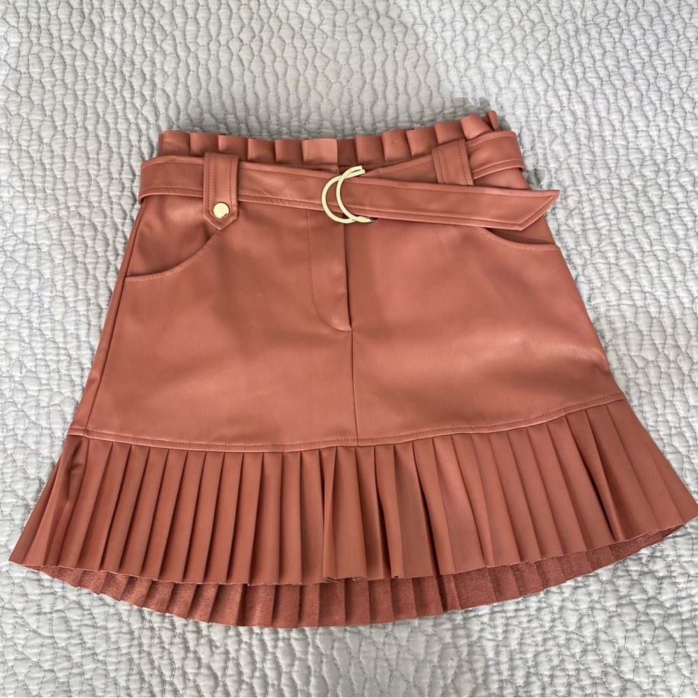 Zara Blogger Favorite Faux Leather Pleated Skirt
